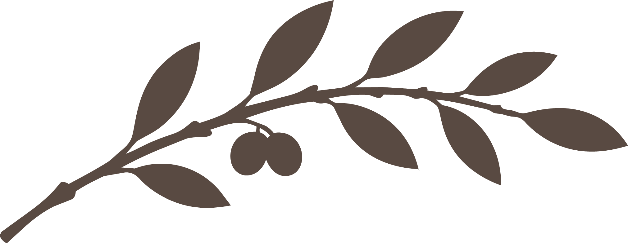 Resilient Hearts olive branch logo